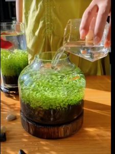 300/600/1500g Aquarium Substrate Soil Water Grass Mud Fish Tank Soil for Aquatic Plants Aquarium Landscape Decoration