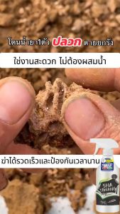 🐜ฆ่าปลวกทั้งรัง🐜ยากำจัดปลวก 500ml ป้องกันฆ่าตาย2in1 ยาฆ่าปลวก ติดเชื้อตาย ยาฆ่าปลวก ยกรัง ยากำจัดมด ยาฉีดปลวกบ้าน ได้ผล100% เหมาะสำหรับมดทุกชนิด กำจัดมดในบ้าน น้ำยาฆ่าปลวกน้ำยากำจัดปลวก ยาปลวก ยากำจัดปลวกไม้ ดิน ยากำจัดมดยกรัง