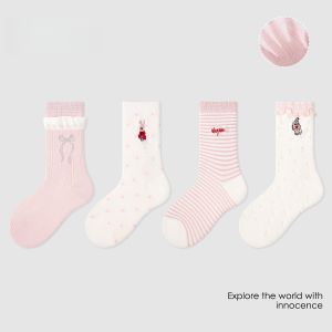 Spring/Summer Lace Princess Mesh Socks Mid-Calf