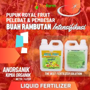 Pupuk Pelebat Buah Buahan / Pupuk Pelebat Buah / Pupuk Pelebat Buah Rambutan / Pupuk Booster Buah Rambutan / Pupuk Untuk Buah Rambutan