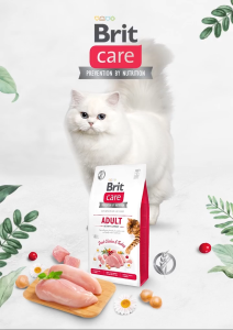 Brit Care Cat Dry Food 2kg Grain Free Indoor Kitten Sensitive Haircare Makanan Kucing 宠物干粮猫粮 Mochapet