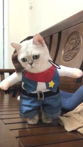 Pet Cosplay Clothes Cowboy Police Sailor Pirate Doctor Nurs Funny Cat Dog Clothes Pet Costumes Party Festival Clothing