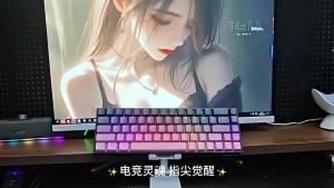 NexusClick 61 Keys Magnetic Gaming KeyboardHot Swappable RGB Mechanical Wired Keyboard PBT Keycaps Mini 60% Layout Pro Esports