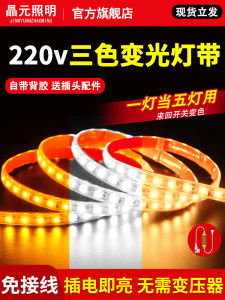 High Pressure 220V Three Color Changeable LED Light Strip Super Bright Outdoor Waterproof Self Adhesive Color Changing Light Strip for Ceiling