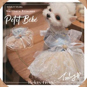 Queen of the North Maltese Pet Wedding Dress Princess Skirt Spring and Autumn Clothing Muppet Kitty Dog Traction Rope Traction