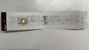 Ikari New Serrico (Pheromone Trap For Beetles) 10 pcs effectiveness last for 1 month Easy Assemble & Disposal