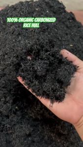 (1 KILO) CARBONIZED RICE HULL/SUNOG NA IPA