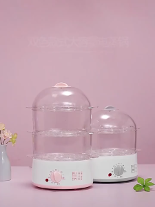 Multi-Function Electric Steamers: A Comprehensive Guide