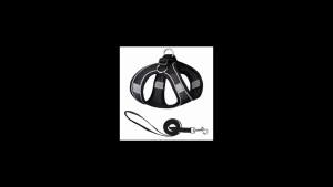 Comfortable Breathable Backpack-Style Dog Chest Harness with Reflective Strips Explosion-Proof Leash Attached for Dogs