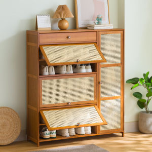 Dustproof Multi-layer Shoe Cabinet with Doors