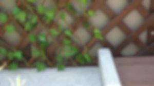 Artificial Garden Trellis Faux Ivy Fencing Panel Expandable Privacy Fence Artificial Leaf Screening For Balcony Garden Decor