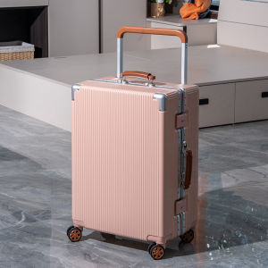 Kangaroo Large Capacity Travel Suitcase Fashionable Trendy Polyester Lining ABS plus PC Material with Lock Password for Travel