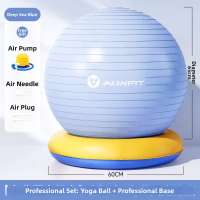 AONFIT | Multi-functional Pregnancy Exercise Ball