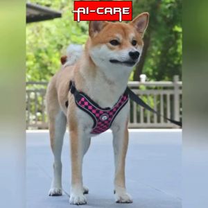 Dog Chest Strap Vest Style Small Dog Reflective Bear Adjustable Harness Outdoor Rope Traction Rope
