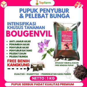 Pupuk Bunga Kertas Biar Lebat / Pupuk Bunga Kertas / Pupuk Pelebat Bunga Kertas / Pupuk Npk Khusus Bunga Kertas / Pupuk Penyubur Bunga Kertas