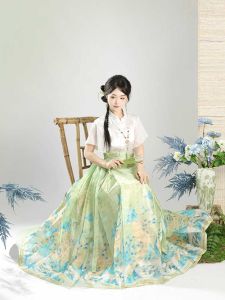 Original Hanfu Ma Face Skirt Set with Aircraft Sleeves Short Sleeve Adult Summer Chinese Style Traditional Costume by Lan Yue Ni Shang