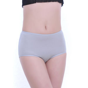 Slim Shapewear High Waist Comfortable Briefs