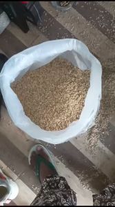 BISA COD!!!GABAH 1 KG || Makanan Burung || BURUNG