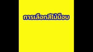 [10245] ไม้ม็อบคลิปล็อค 10"200 กรัม สีขาว + สีกรมท่า