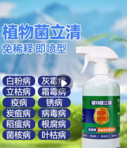 菌立清微生物菌剂新型杀菌剂根腐枯黄灰霉病紫斑叶斑病农用杀菌剂 Microbial agents new fungicides root rot yellow gray moldagricultural fungicides