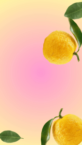 Perl YUZU With Vitamin C 1000mg (250ml X 6 Cans)