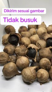 Bawang Tunggal Hitam Kualitas Terbaik: Manfaat & Cara Penggunaan