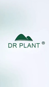 1 Hộp Mặt Nạ Giấy DR PLANT Cucumber Purslane Mask Làm Sáng DaMặt Nạ Dưỡng ẨmDịu Nhẹ Tức ThìNgăn Ngừa Lão Hóa 30ml