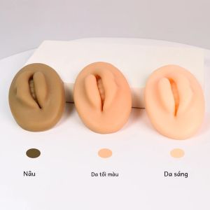 Microblading Silicone Thực Hành Môi Da Khối Dành Cho Người Mới Bắt Đầu Đào Tạo Trang Điểm Vĩnh Viễn Dụng Cụ Có Thể Tái Sử Dụng Châu Âu Chắc Chắn Môi Khối 1/2/5 Bộ