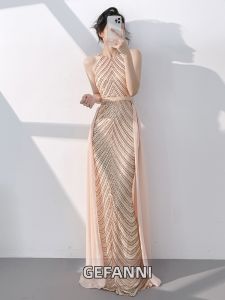 Elegant Luxurious Host Banquet Evening Gown