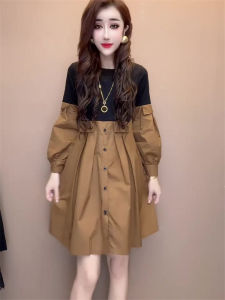 Fashionable A-Line Dress Womens Casual Slimming Tummy Covering Dress Autumn Season Versatile Commute Style Long Sleeve Short Dress