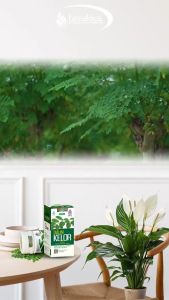 Kapsul Daun Kelor & Nyeri Sendi: Solusi Herbal Tazakka