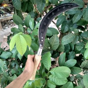 arit rombes atau sabit ramban ketebalan 1 cm buat tebas kayu dan ranting besar asli Madura paterongan Bangkalan bahan baja per mobil truk