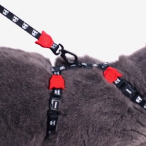 Zee Cat | Harness with Leash | Farm Rio Samba