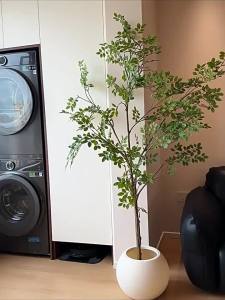 High-Quality Lifelike Elm Bonsai Floor Plant