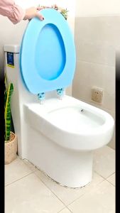 ชักโครก ห้องน้ำปกปก น้ำปกปก ฝาห้องน้ำ นั่งชัก ชักโครกแผ่นนุ่มหนา