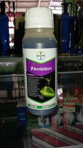 Ambition 500 ml zat aktivator untuk semua tanaman