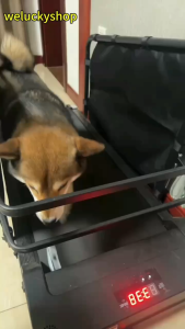 ลู่วิ่งไฟฟ้า ลู่วิ่งแมว  ลู่วิ่งน้องหมา ลู่วิ่งสำหรับสัตว์เลี้ยง พร้อมส่งจากไทย