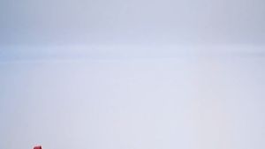 Hexagon Shaft Paint Mud Mixer Handheld Paint Cement Tool Drill Mixer Hex Head Shafts