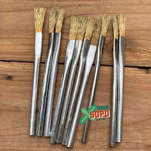 Alat Bonsai 5 Pcs Kuas kawat kuningan Pembersih Kotoran Bonsai Jamur dan Lumut