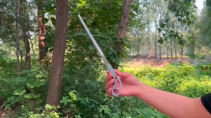 Gergaji Kayu Mini Baja Paduan SK5 Gergaji Potong Kayu Super Tajam Hand Gergaji Bonsai