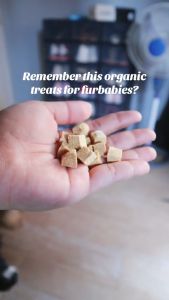 Luscious Recipe Freeze-Dried Beef Liver Treats: A Pure Meat Organic Option for Dogs & Cats