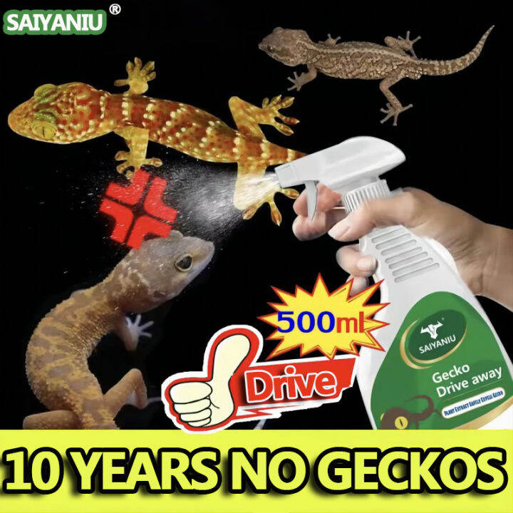 Lizard Repellent Insect壁虎驱除剂 Perangkap Cicak Ubat Cicak Paling Berkesan