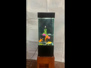 Bể cá đứng kiểu dáng hiện đại 69x245x25 (kt hồ: 43x24x24)