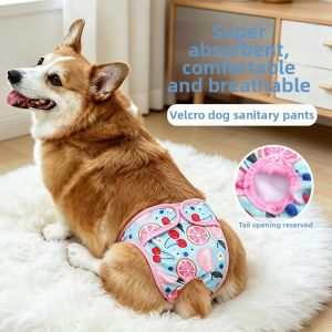 Hadassah | Anti-mating and Absorbent Pet Diapers