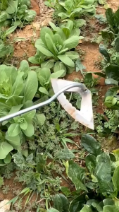 Cangkul Gulma Kepala Kecil Berkebun Besi Baja Pacul Garuk Gali Rumput Tanah Untuk Pertanian