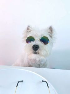 Rennas Dog Eyeglasses For Cat Fashion Glasses Pet Sunglasses Cool Photo Props Cosplay Cat Eye-wear