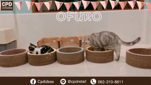 บ้านแมว กระดาษลูกฟูก ของเล่นแมว ที่นอนแมว โอฟูโระที่ลับเล็บแมว Ofuro