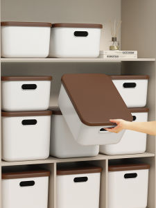 SIVASS | Plastic Rectangular Makeup Snack Organizer With Lid Box