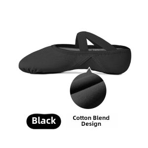 Breathable Mesh Ballet Dance Shoes for Women Soft Bottom Classical Dance Footwear MooleDance Brand Summer Online Exclusive