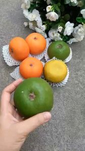 1 Trái quýt giả 12cm như thật - Trái cây giả - TUYET XUAN SHOP